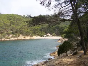 Coastal path - Port of Alon and its guinguette