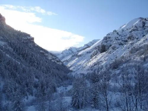 Saint-Dalmas-le-Selvage - Vallon de Gialorgues