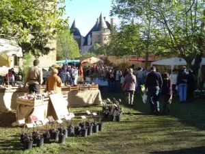 Expo of rare plants (gardens of the pigeon house of the castle)