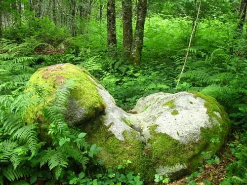 Saint-Éloi - Gids voor toerisme, vakantie & weekend in de Creuse