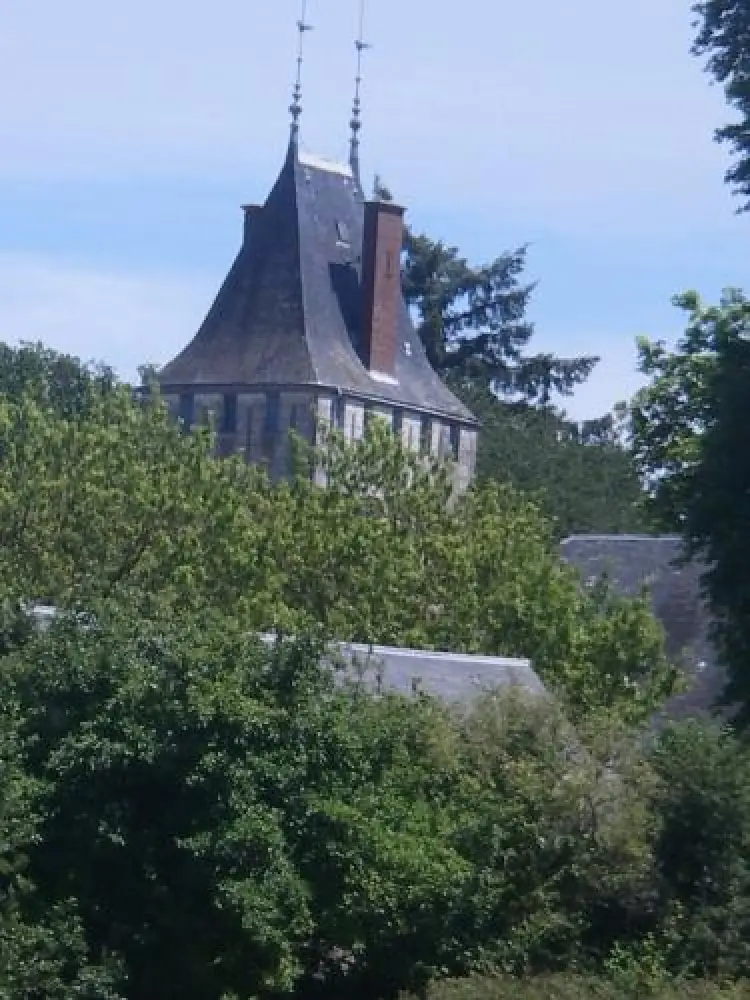 Saint-Éloy-d'Allier - Castle Malvaux