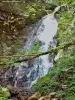 Cascade de Miraumont