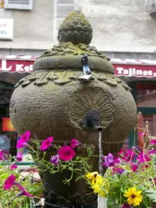 Una fuente, plaza cerca de la sala