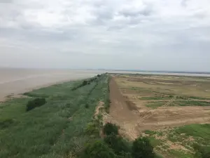 View of the estuary from the lighthouse summit