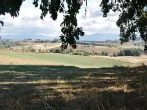 Campagne de Saint-Genest-de-Contest