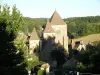 Castle of Saint-Geniès - Monument in Saint-Geniès