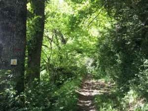 Wanderweg rund um Saint-Geniez-d'Olt