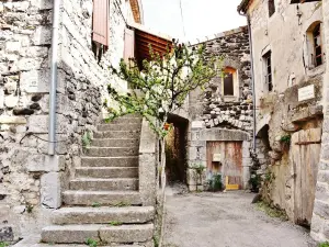 Le village