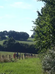 Sentier de randonnée sur Saint-Germain-en-Coglès