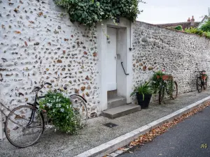 Bloemrijke fietsen