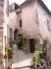 Saint-Guilhem-le-Désert - Saint-Guilhem-le-Désert (© Frantz)