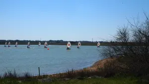 Optimist y catamarán Saint-Hilaire-de-Riez