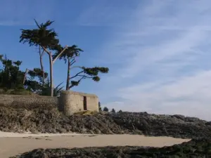 Paysage de Saint-Jacut-de-la-Mer (© OT - Eole photo)