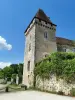 Castle of the Marthonie - Monument in Saint-Jean-de-Côle