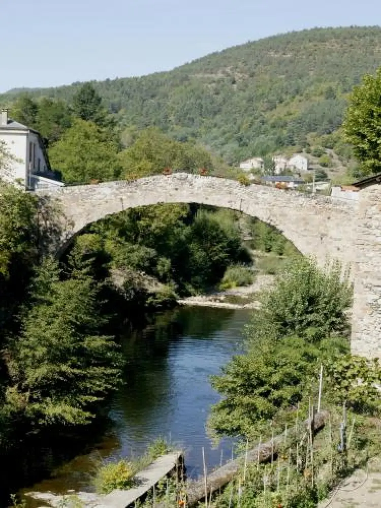 Saint-Jean-du-Bruel - Le Pont Vieux