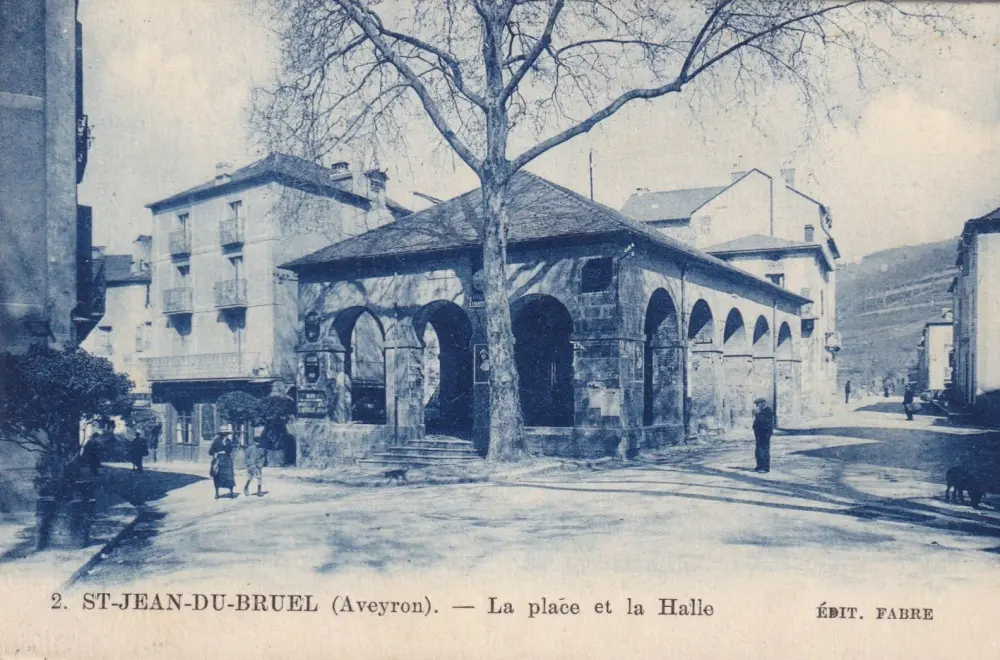 Saint-Jean-du-Bruel - Platane des Halles vers 1930