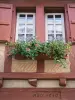 Bloemrijke balkon van Arkanzola huis