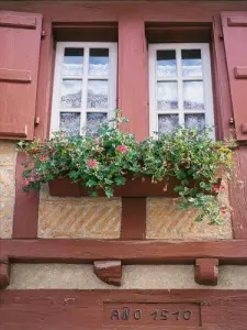 Geblühter Balkon des Arkanzola-Hauses
