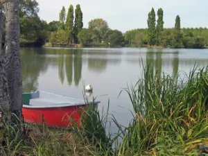 El agua de Oak