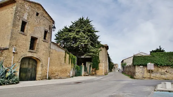 Saint-Laurent-la-Vernède - Guía turismo, vacaciones y fines de semana en Gard