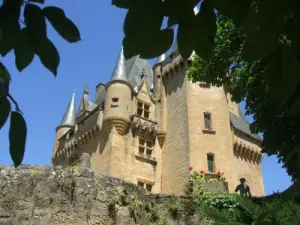 Château de Clérans