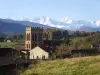Views of the Pyrenees