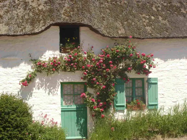 Saint-Lyphard - Führer für Tourismus, Urlaub & Wochenende in der Loire-Atlantique