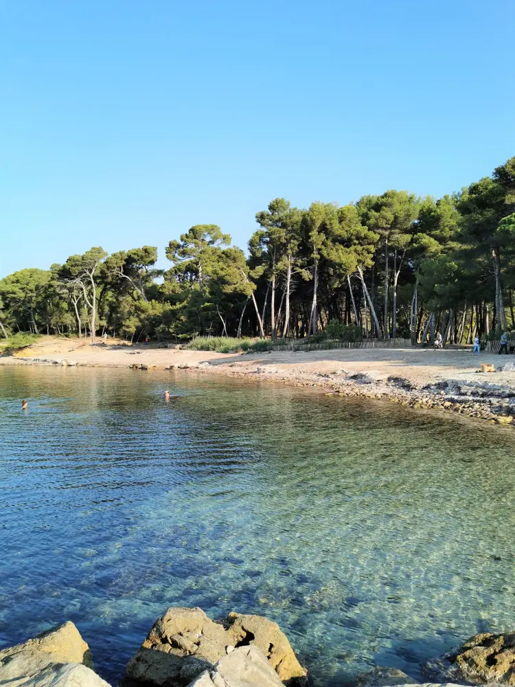 Saint-Mandrier-sur-Mer - Pinède Saint-Asile (© Ouest Var Tourisme)