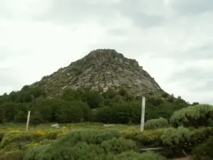 Mount Gerbier de Jonc