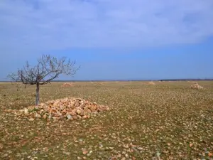 Reserva Natural Nacional de la Crau Coussouls