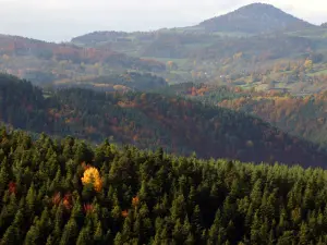 Panorama autunnale