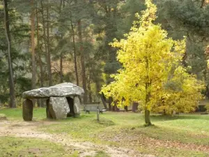 Dolmen Saint-Nectaire