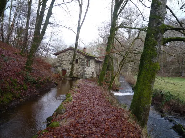 Saint-Oradoux-près-Crocq - Guide tourisme, vacances & week-end en Creuse