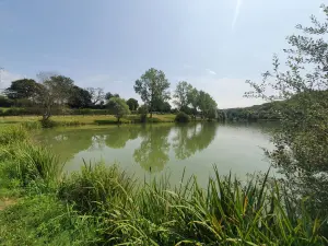 Pond of Saint-Ouen-sur-Loire