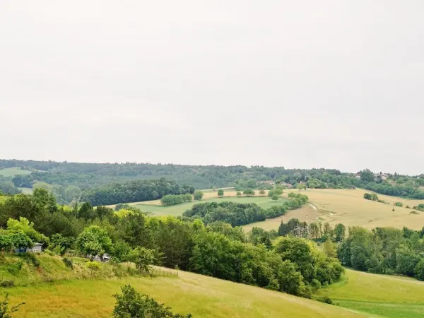 Saint-Pardoux-de-Drône - Tourism, holidays & weekends guide in the Dordogne