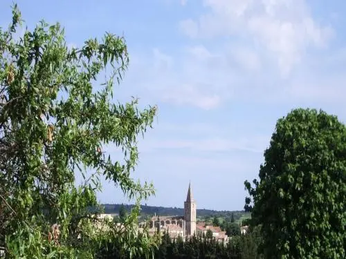 Saint-Pargoire - Guide tourisme, vacances & week-end dans l'Hérault