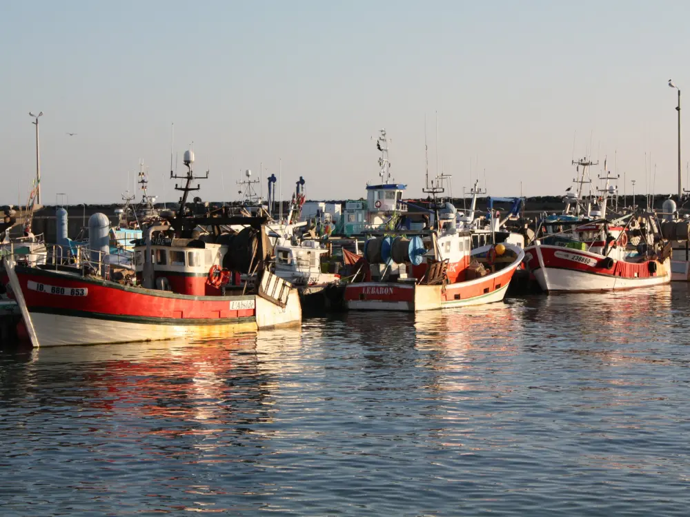 Saint-Pierre-d'Oléron - Port de La Cotinière