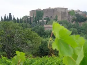 Le château vu depuis la rivière