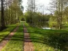 Ponds of the Tourbières - Natural site in Saint-Pierre-es-Champs