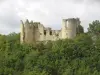 Saint-Pierre-Lafeuille - Le château dominant la vallée depuis des siècles