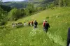 Landschap van de Val d'Allier in het voorjaar