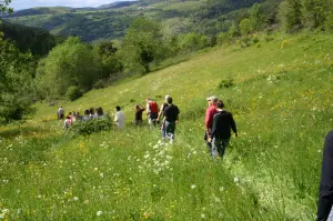 Paisaje del Val d'Allier en primavera