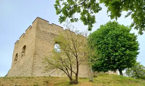 Château de Saint-Quentin-Fallavier