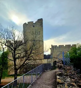 Saint-Quentin-Fallavier kasteel