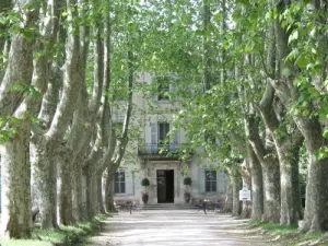 Château des Alpilles