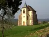 Saint-Sauveur - Tourism, holidays & weekends guide in the Meurthe-et-Moselle
