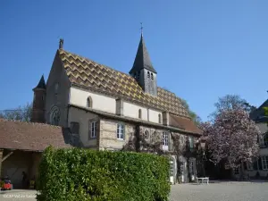 Church Saint-Sauveur