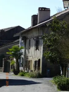guascone Casa