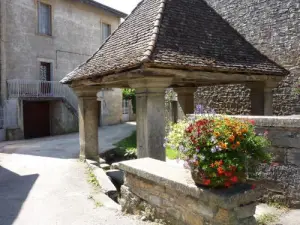 Lavoir Calimacha