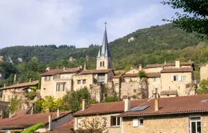 Le village de Saint-Sorlin vu de la ViaRhôna (© Marilou Perino/Pérouges Bugey Tourisme)